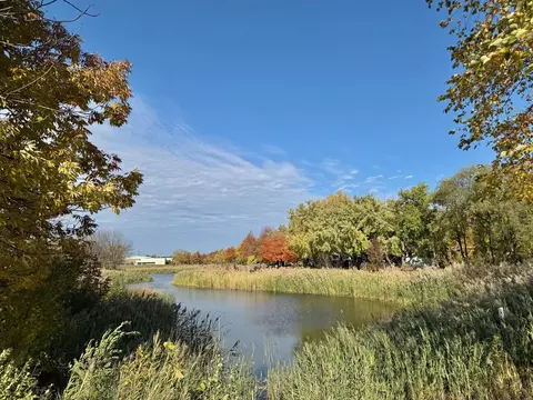 View/Area - 714 E Thacker St, Des Plaines, IL 60016 photo 2 of 5