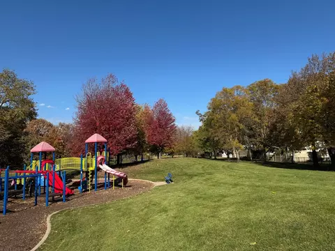 Exterior - 714 E Thacker St, Des Plaines, IL 60016 photo 11 of 13