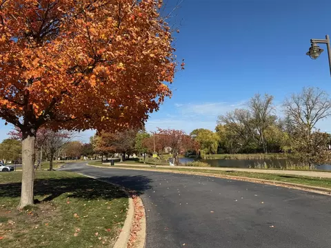 Exterior - 714 E Thacker St, Des Plaines, IL 60016 photo 8 of 13