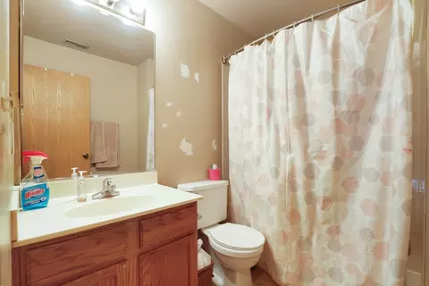 21258 W Edison Ln, Plainfield, IL 60544 photo 11