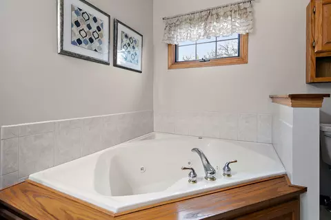 Bath - 225 Sibley Dr, Minooka, IL 60447 photo 3 of 4