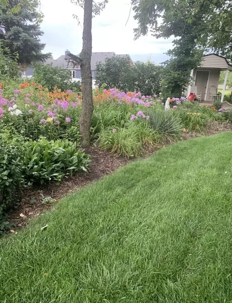 Exterior - 225 Sibley Dr, Minooka, IL 60447 photo 3 of 11