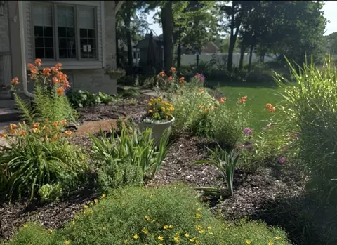 Exterior - 225 Sibley Dr, Minooka, IL 60447 photo 6 of 11
