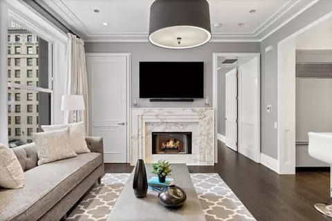Living - 159 E Walton Pl #6B, Chicago, IL 60611 photo 2 of 6