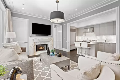 Living - 159 E Walton Pl #6B, Chicago, IL 60611 photo 3 of 6