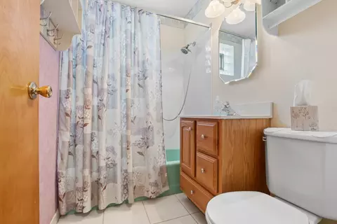Bath - 4266 W 81st St, Chicago, IL 60652 photo 1 of 1