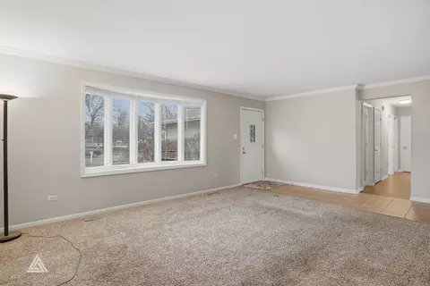 6615 Bazz Dr, Plainfield, IL 60586 photo 5