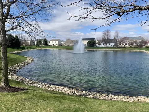 1213 Bridgehampton Dr, Plainfield, IL 60586 photo 36