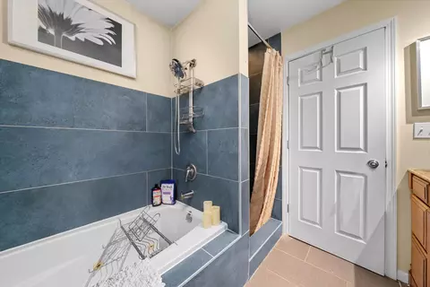 Bath - 352 E 77th St, Chicago, IL 60619 photo 2 of 5