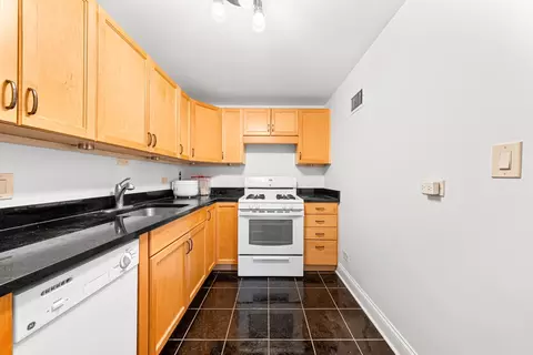 Kitchen - 253 E Delaware Pl #14D, Chicago, IL 60611 photo 1 of 3