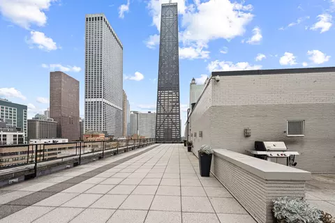 Other - 253 E Delaware Pl #14D, Chicago, IL 60611 photo 3 of 8