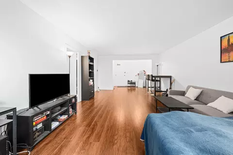 Living - 253 E Delaware Pl #14D, Chicago, IL 60611 photo 3 of 5