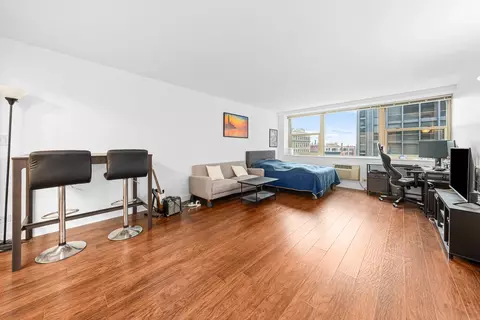 Living - 253 E Delaware Pl #14D, Chicago, IL 60611 photo 2 of 5