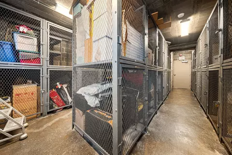 Other - 253 E Delaware Pl #14D, Chicago, IL 60611 photo 7 of 8