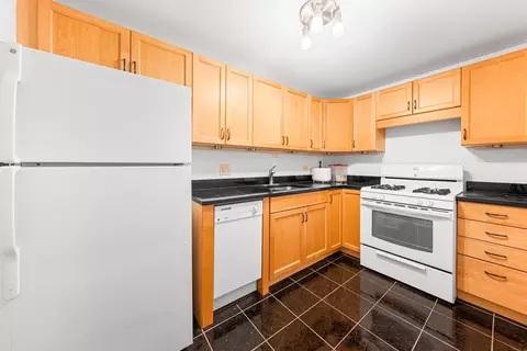 Kitchen - 253 E Delaware Pl #14D, Chicago, IL 60611 photo 2 of 3