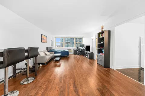 Living - 253 E Delaware Pl #14D, Chicago, IL 60611 photo 1 of 5