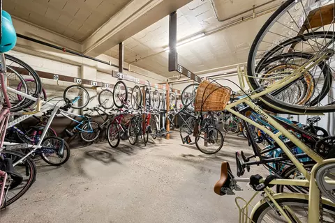 Other - 253 E Delaware Pl #14D, Chicago, IL 60611 photo 8 of 8