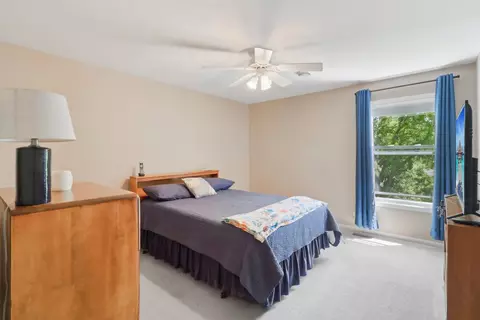 305 Buckingham Dr, Algonquin, IL 60102 photo 28