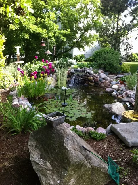 305 Buckingham Dr, Algonquin, IL 60102 photo 47