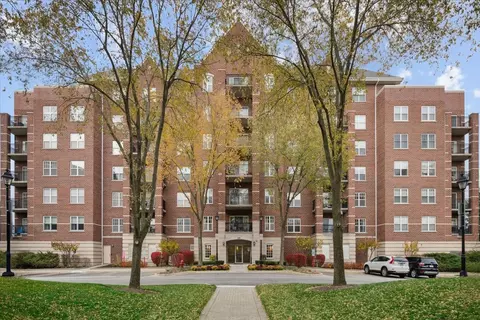 440 W Mahogany Ct #203, Palatine, IL 60067