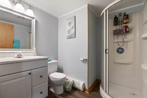 8232 S Ferdinand Ave, Bridgeview, IL 60455 photo 32