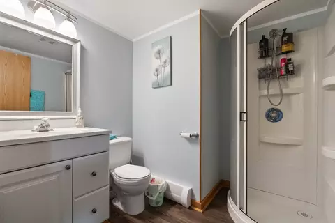 8232 S Ferdinand Ave, Bridgeview, IL 60455 photo 26