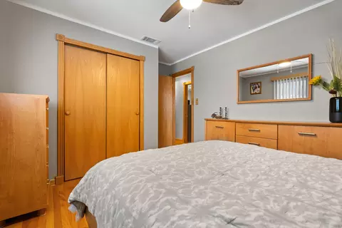 8232 S Ferdinand Ave, Bridgeview, IL 60455 photo 19