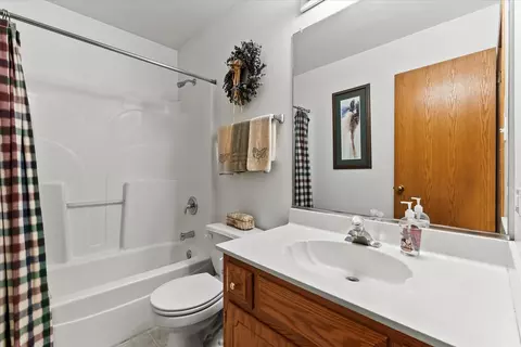 4513 Skylark Ln, Plainfield, IL 60586 photo 14