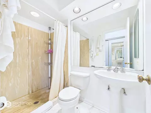 Bath - 236 Shadowbend Dr, Wheeling, IL 60090 photo 4 of 5