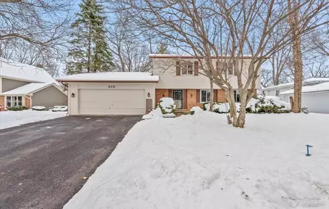315 Leeds Ct, Naperville, IL 60565