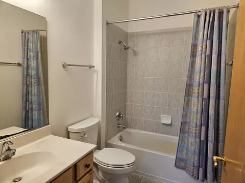 Bath - 21320 W Douglas Ln, Plainfield, IL 60544 photo 4 of 5
