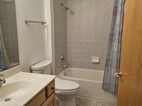 Bath - 21320 W Douglas Ln, Plainfield, IL 60544 photo 3 of 5