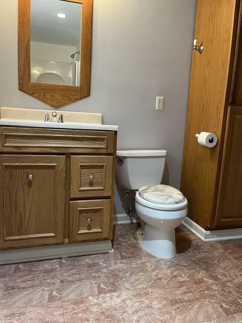 Bath - 14920 Wentworth Ave, Dolton, IL 60419 photo 2 of 6