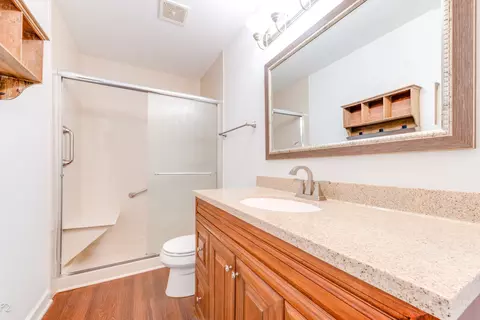 Bath - 24181 Pear Tree Cir, Plainfield, IL 60585 photo 1 of 2