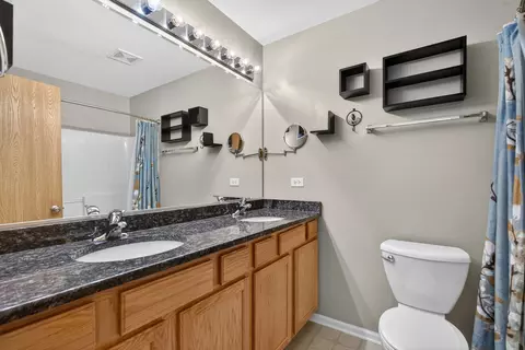 Bath - 234 Longview Dr, Elgin, IL 60124 photo 2 of 4
