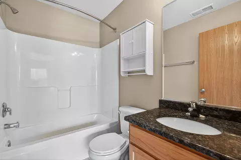 Bath - 234 Longview Dr, Elgin, IL 60124 photo 4 of 4