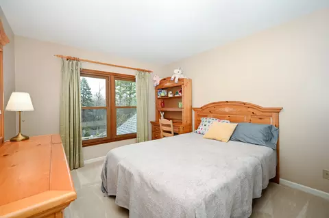 710 Braewood Dr, Algonquin, IL 60102 photo 24