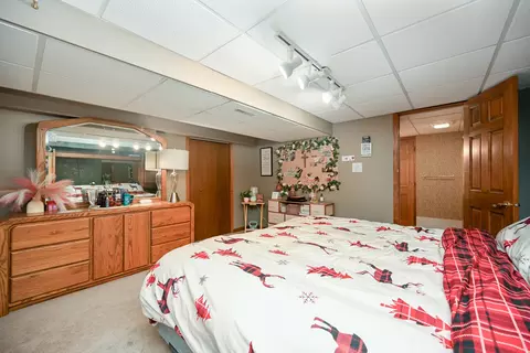 710 Braewood Dr, Algonquin, IL 60102 photo 29