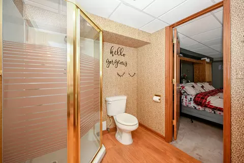 710 Braewood Dr, Algonquin, IL 60102 photo 30