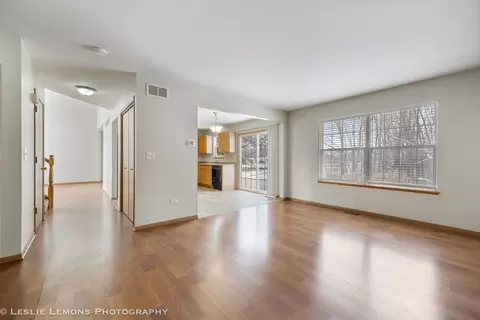 Living - 4798 W Lilac Ave, Monee, IL 60449 photo 8 of 9