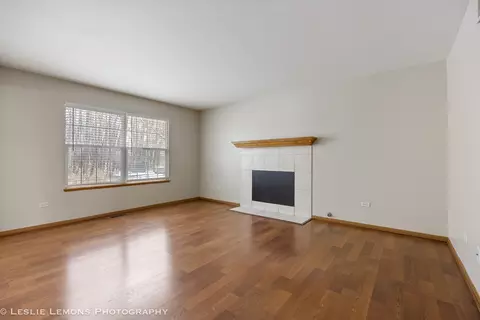 Living - 4798 W Lilac Ave, Monee, IL 60449 photo 9 of 9