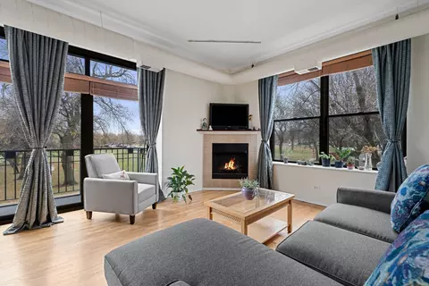Living - 811 S Lytle St #103, Chicago, IL 60607 photo 2 of 4