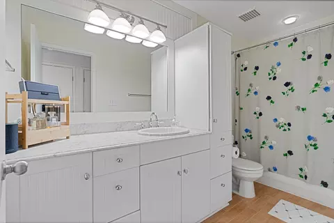 Bath - 811 S Lytle St #103, Chicago, IL 60607 photo 1 of 1