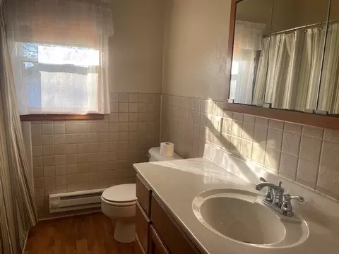 Bath - 312 Walnut St, Leonore, IL 61332 photo 1 of 1