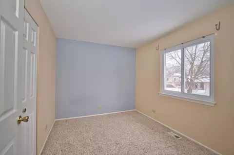 493 Harvard Ln, Bartlett, IL 60103 photo 19