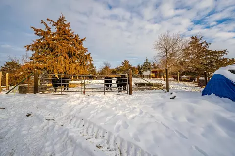 Other - 7965 N Adeline Rd, Leaf River, IL 61047 photo 14 of 30