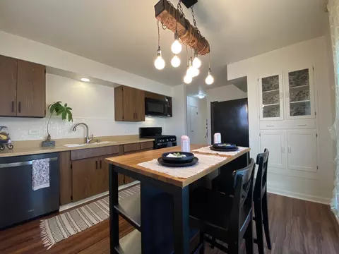 1106 S Robert Dr, Mount Prospect, IL 60056 photo 4