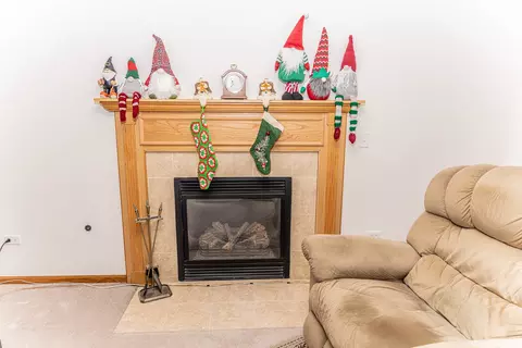 Other - 1102 Nikki Ct, Joliet, IL 60431 photo 2 of 8