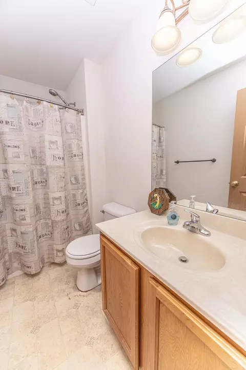 Bath - 1102 Nikki Ct, Joliet, IL 60431 photo 1 of 3