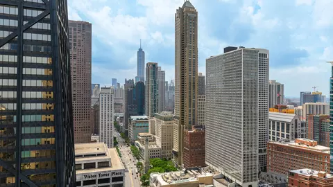 View/Area - 159 E Walton Pl #31A, Chicago, IL 60611 photo 2 of 2